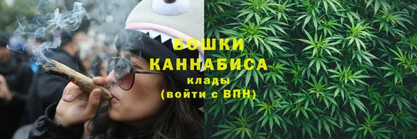 бошки Богданович